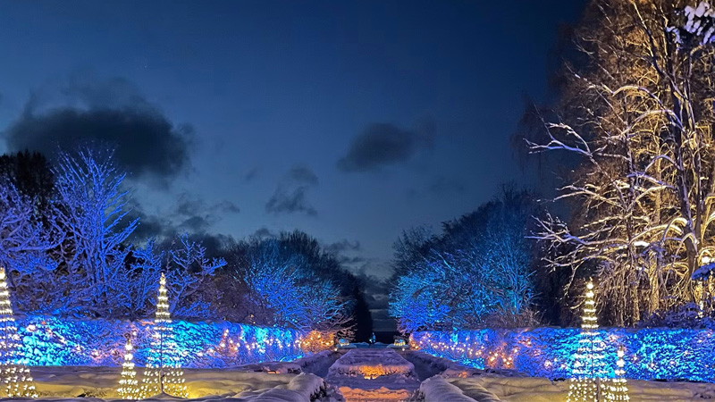 Norrvikens tr�dg�rdar under jultid